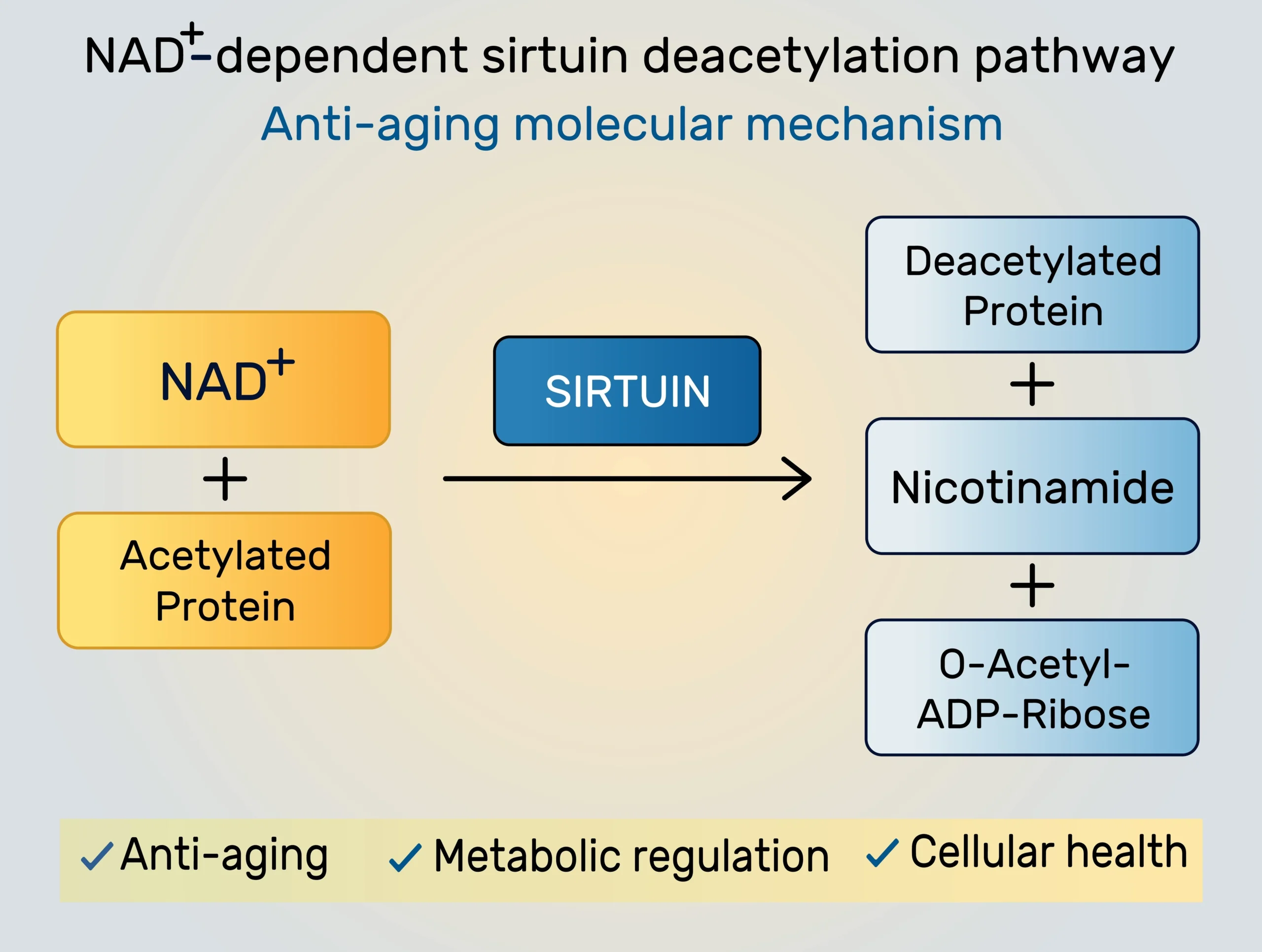 side effects of 5-Amino-1MQ